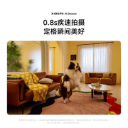 ROKID的功能更方向于翻 